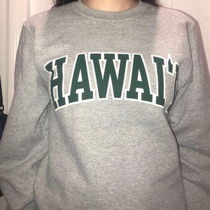Hawai'i University Hoodie Sweatshirt Champion